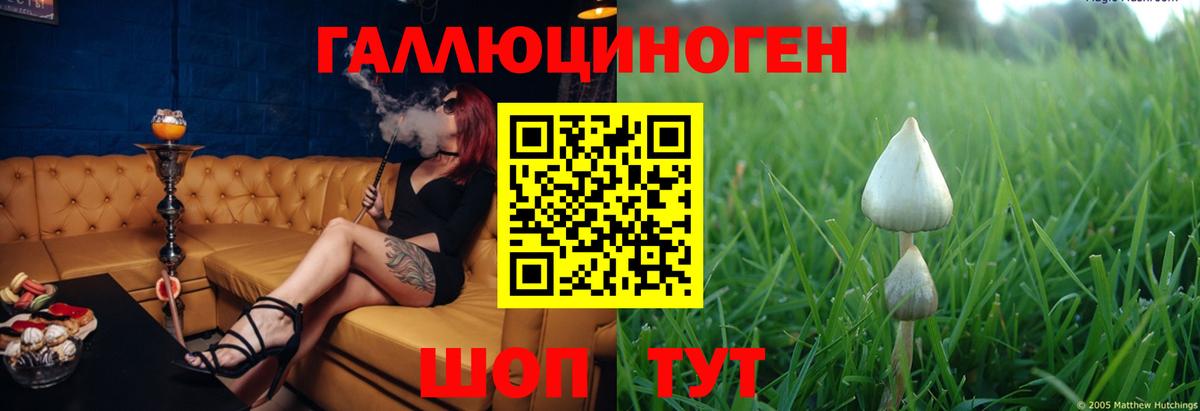 Псилоцибиновые грибы Psilocybine cubensis  Галлюциногенные грибы GOLDEN TEACHER  Вход с VPN  Топки 