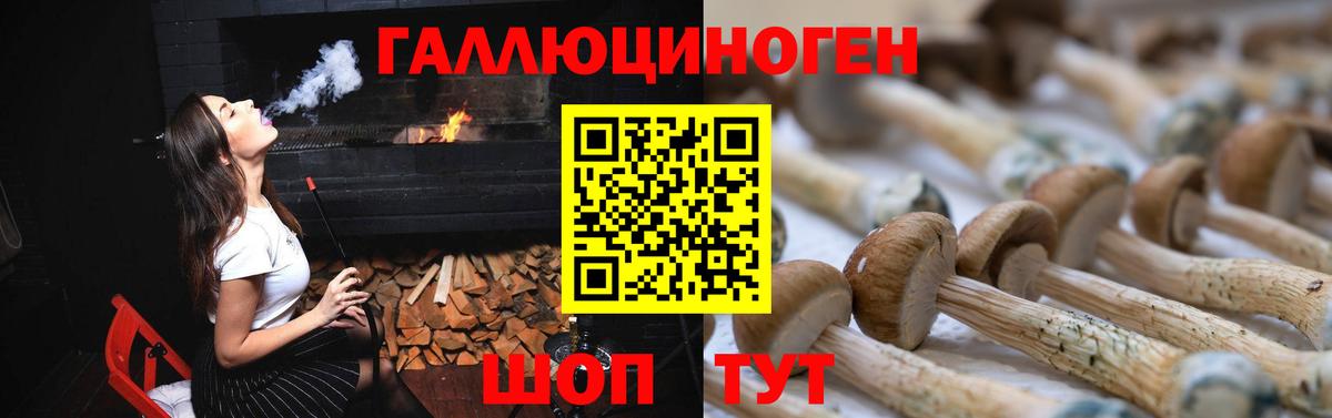Галлюциногенные грибы Psilocybe Топки